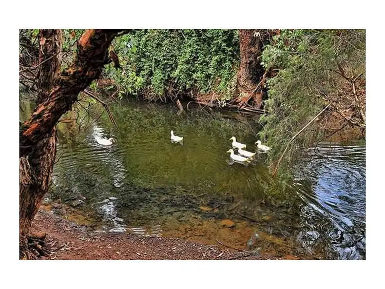 Fifth view of Homely land listing, Lot 305, Raphoe Loop, Bullsbrook WA 6084