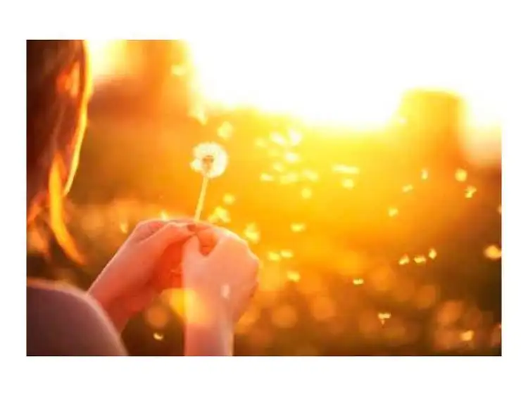 Sixth view of Homely land listing, Lot 305, Raphoe Loop, Bullsbrook WA 6084