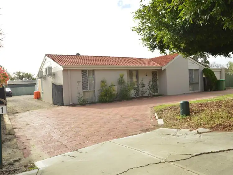41 Morley Drive East, Morley WA 6062