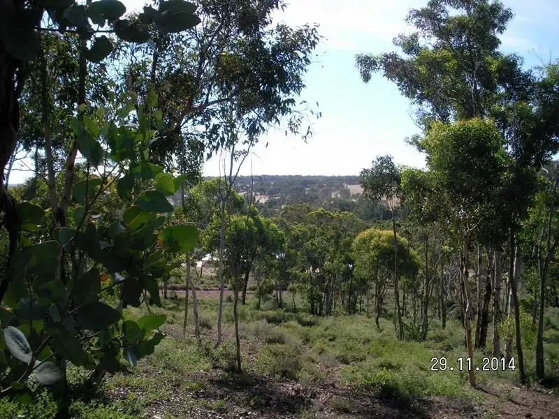 Main view of Homely land listing, Lot 613, Swallow Lane, Chittering WA 6084