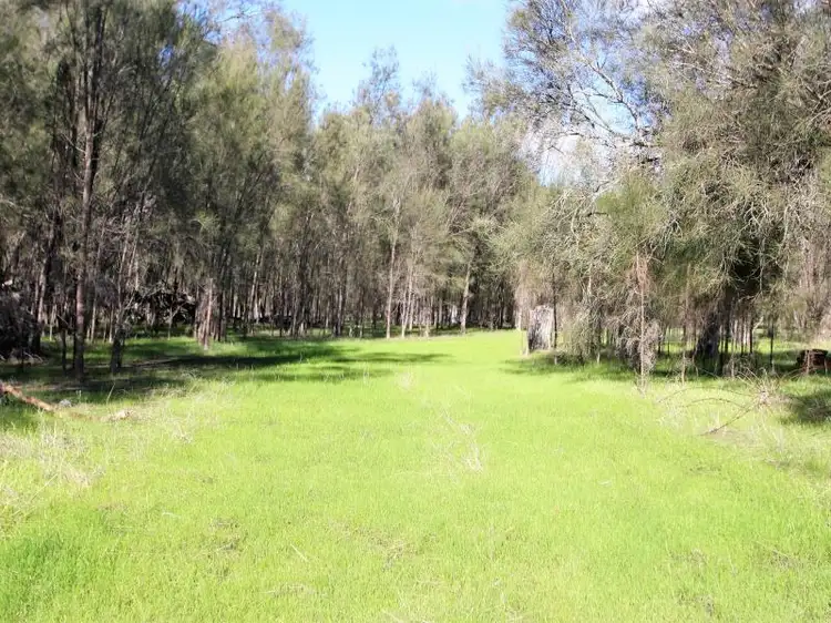 Fifth view of Homely rural property listing, 2417 Bindoon-Moora Road, Wannamal WA 6505