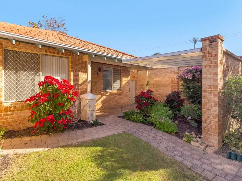 Main view of Homely retirement listing, 46/177 Dampier Avenue, Kallaroo WA 6025