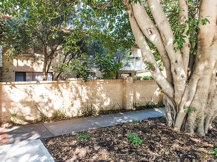 Third view of Homely retirement listing, 19/645 Hay Street, Jolimont WA 6014