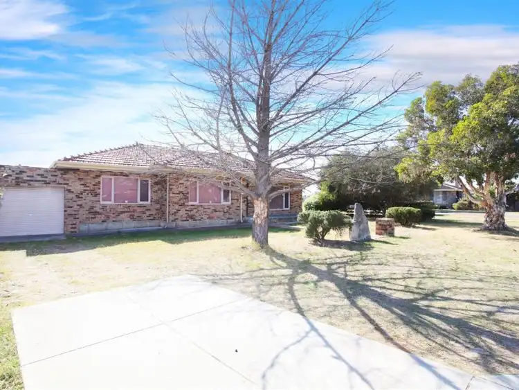 Second view of Homely house listing, 7 Sylvia Street, Balcatta WA 6021