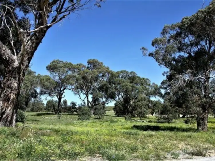 Fourth view of Homely land listing, Lot 115 Cinnamon Meander, Two Rocks WA 6037