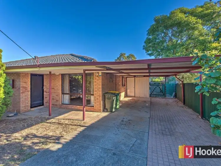 Main view of Homely house listing, 84 Strelitzia Avenue, Forrestfield WA 6058
