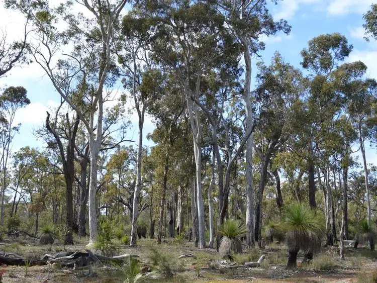 Second view of Homely rural property listing, L1859 Parsons Swamp Road, Boyup Brook WA 6244