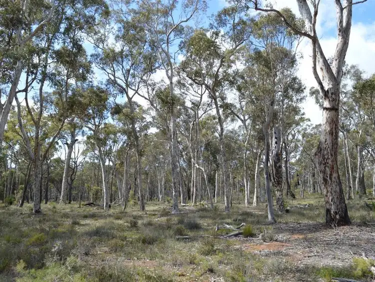 Fifth view of Homely rural property listing, L1859 Parsons Swamp Road, Boyup Brook WA 6244