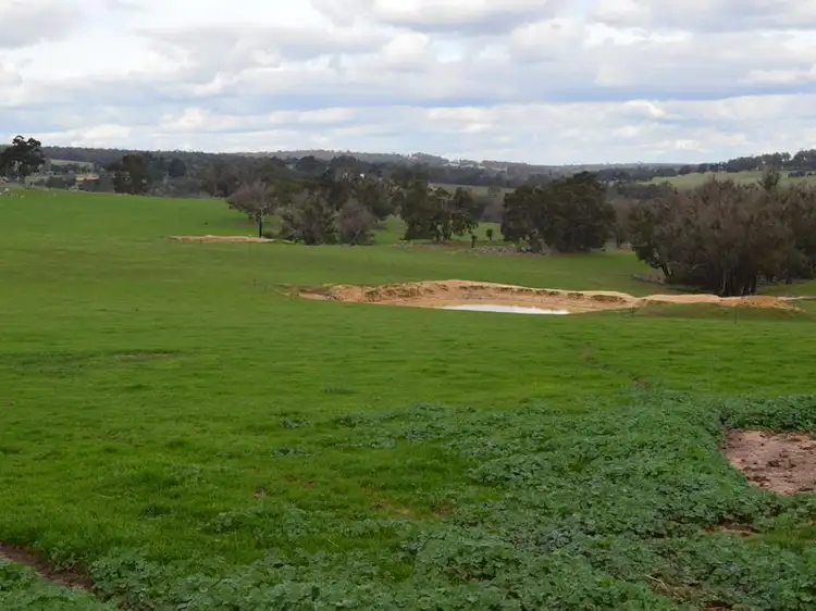 Lot 43, 78 Ritson Street, Boyup Brook WA 6244