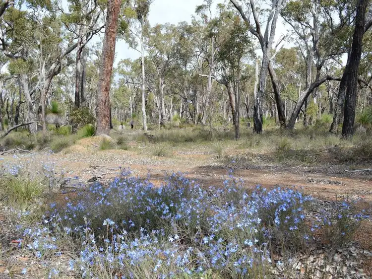 Main view of Homely rural property listing, L7867 Parsons Swamp Road, Boyup Brook WA 6244