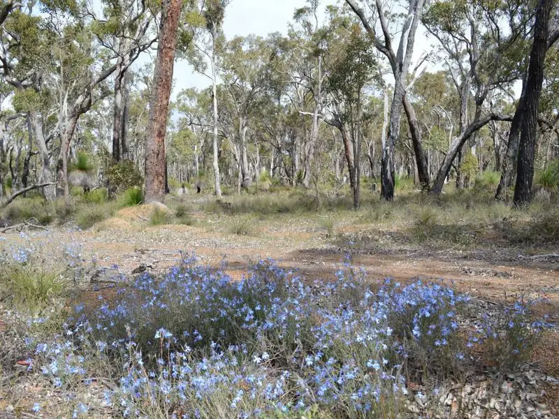 Main view of Homely rural property listing, L7867 Parsons Swamp Road, Boyup Brook WA 6244