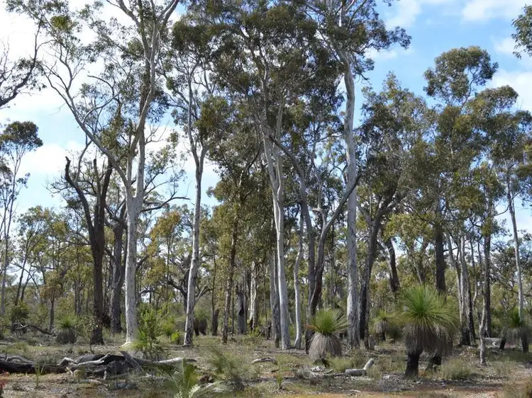Second view of Homely rural property listing, L7867 Parsons Swamp Road, Boyup Brook WA 6244