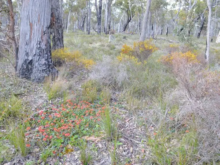 Third view of Homely rural property listing, L7867 Parsons Swamp Road, Boyup Brook WA 6244