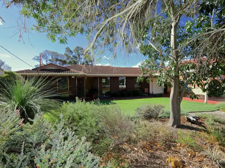 30 Albatross Pass, Willetton WA 6155