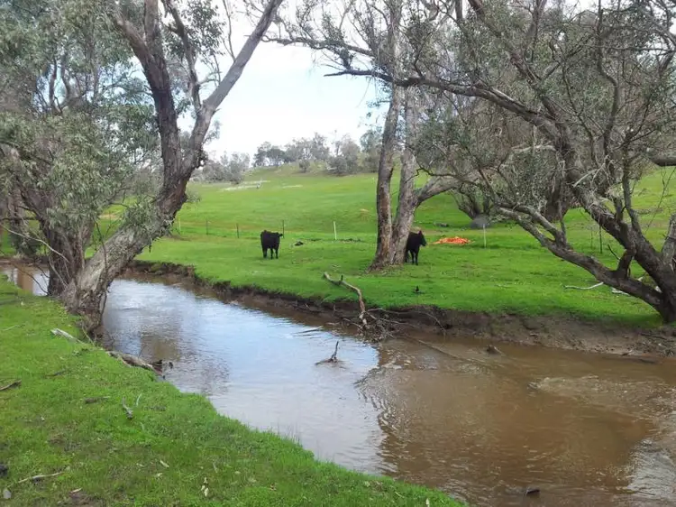 Lot 7146/450 Buckingham Road, Jelcobine WA 6306