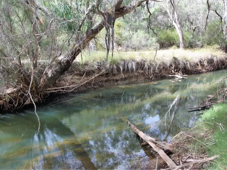 Third view of Homely rural property listing, 553 Mogumber West Road, Red Gully WA 6503