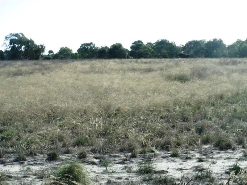 Main view of Homely land listing, Lot 356, Hakea Court, Nilgen WA 6044
