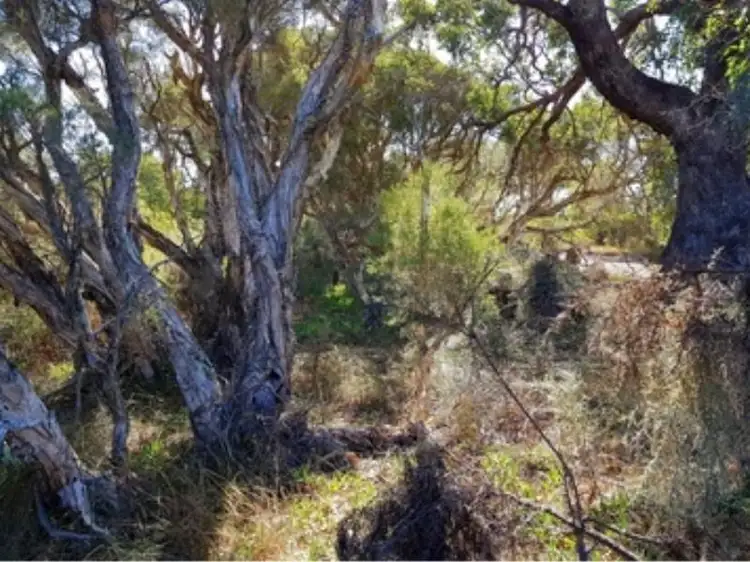 Fourth view of Homely rural property listing, 593 Coonabidgee Road, Coonabidgee WA 6503