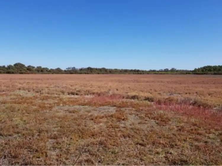 Seventh view of Homely rural property listing, 593 Coonabidgee Road, Coonabidgee WA 6503