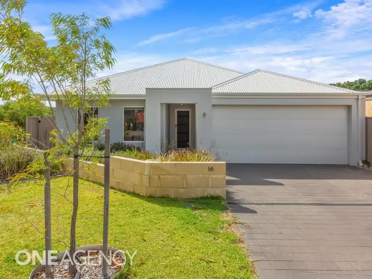 16 Montague Way, Coolbellup WA 6163
