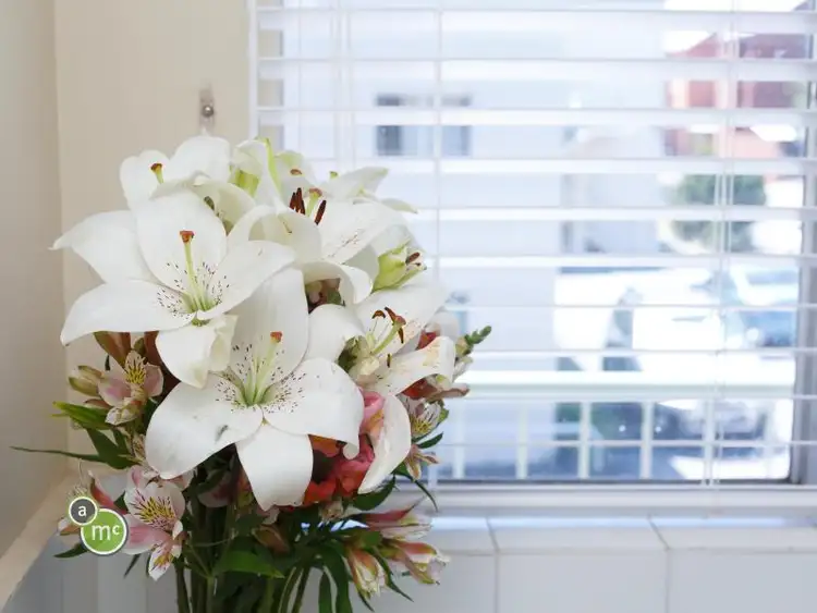 Sixth view of Homely unit listing, 23/381 Barker Road, Subiaco WA 6008