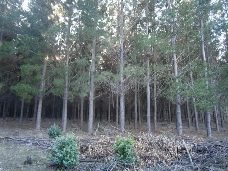 Main view of Homely rural property listing, Lot 2750 Maranup Ford Road, Greenbushes WA 6254