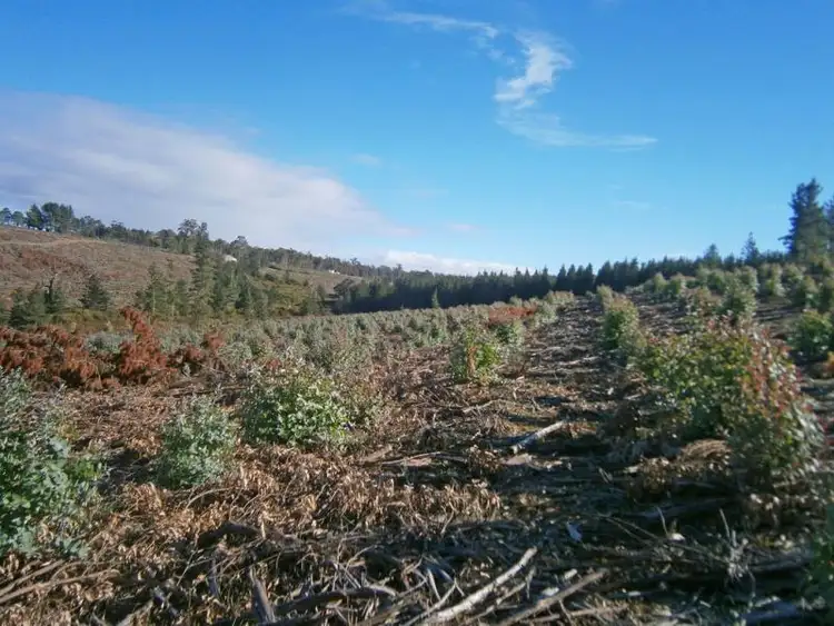 Seventh view of Homely rural property listing, Lot 2750 Maranup Ford Road, Greenbushes WA 6254