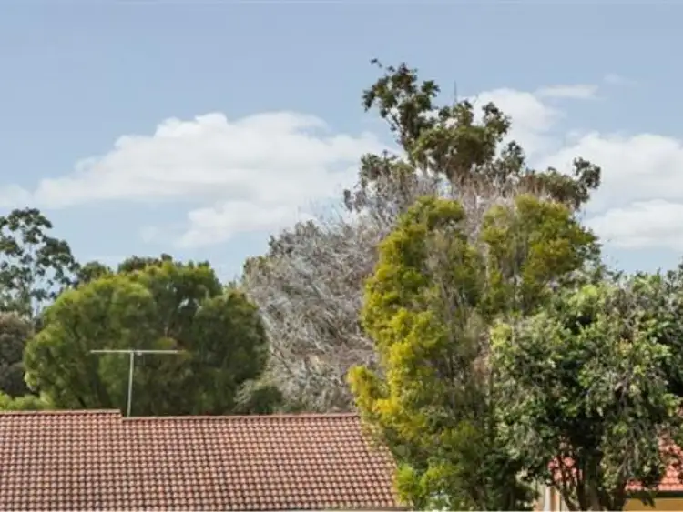 Fourth view of Homely house listing, 9 Marchant Drive, Bibra Lake WA 6163