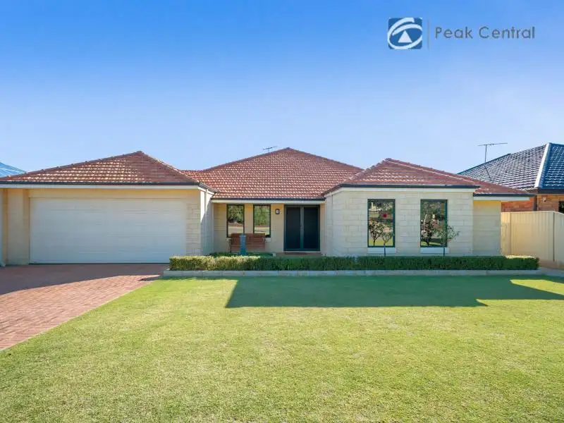 Main view of Homely house listing, 24 Belladonna Drive, Yangebup WA 6164