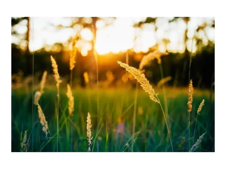 Third view of Homely land listing, Lot 47 Lentara View, Hilbert WA 6112