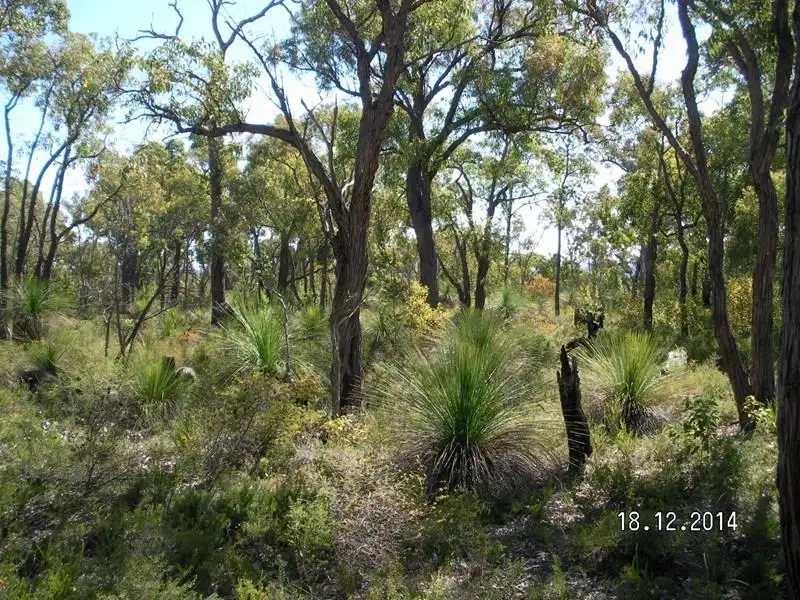 Main view of Homely land listing, Lot 704 Willaring Way, Chittering WA 6084