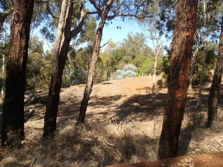 Fifth view of Homely rural property listing, Lot 256 Campbell Street, Bridgetown WA 6255