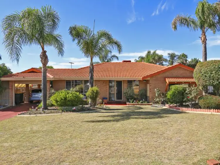 Fourth view of Homely house listing, 11 Ellara Court, Alexander Heights WA 6064