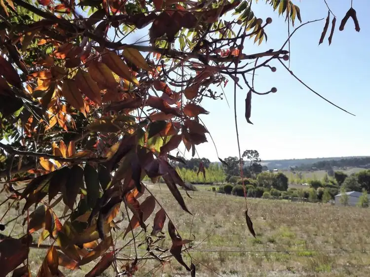 Sixth view of Homely land listing, 15 Robinia Way St, Kangaroo Gully WA 6255