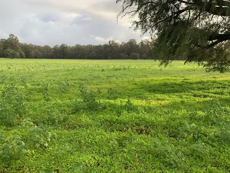 Second view of Homely rural property listing, Lot 210 Mallokup Road, Stirling Estate WA 6271