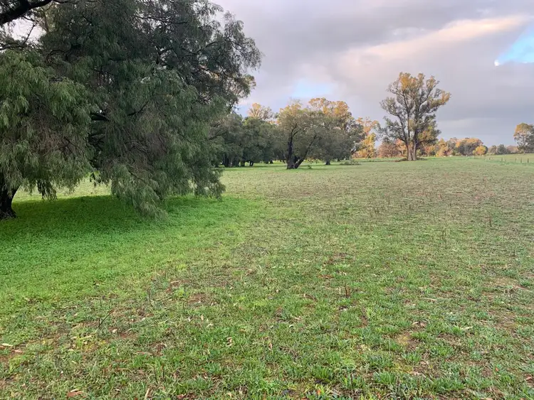 Seventh view of Homely rural property listing, Lot 210 Mallokup Road, Stirling Estate WA 6271