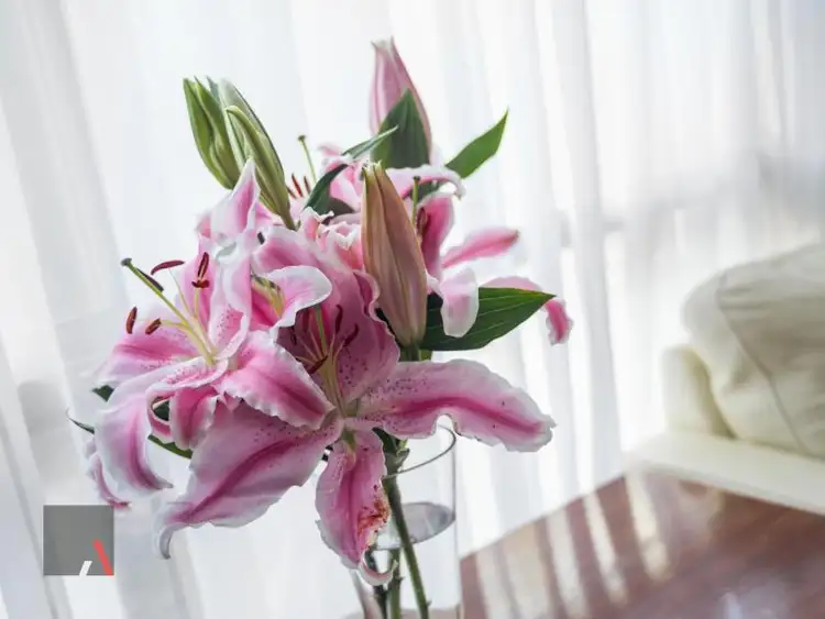 Seventh view of Homely house listing, 21 Battersea Road, Canning Vale WA 6155