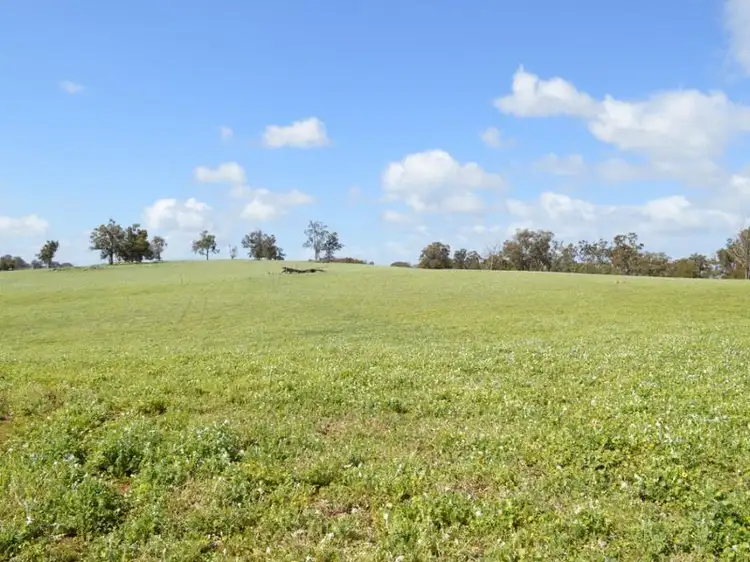 Fourth view of Homely rural property listing, 652 TERRY ROAD, Boyup Brook WA 6244