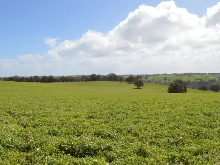 Fifth view of Homely rural property listing, 652 TERRY ROAD, Boyup Brook WA 6244