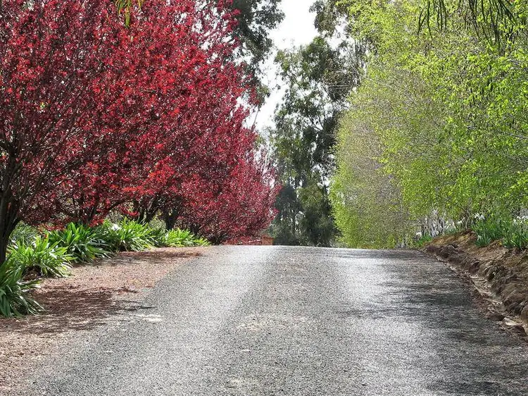 Third view of Homely house listing, 11 Lansdowne View, Bridgetown WA 6255