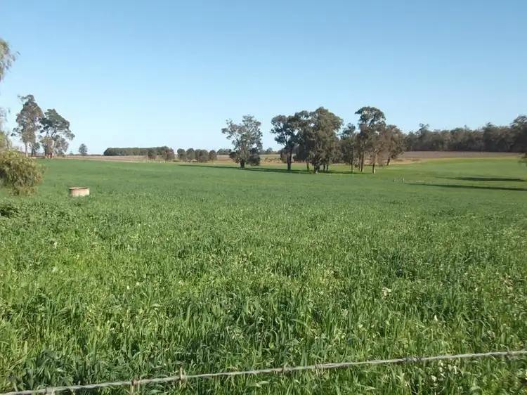 Main view of Homely rural property listing, 189 Ralph Road, Manjimup WA 6258