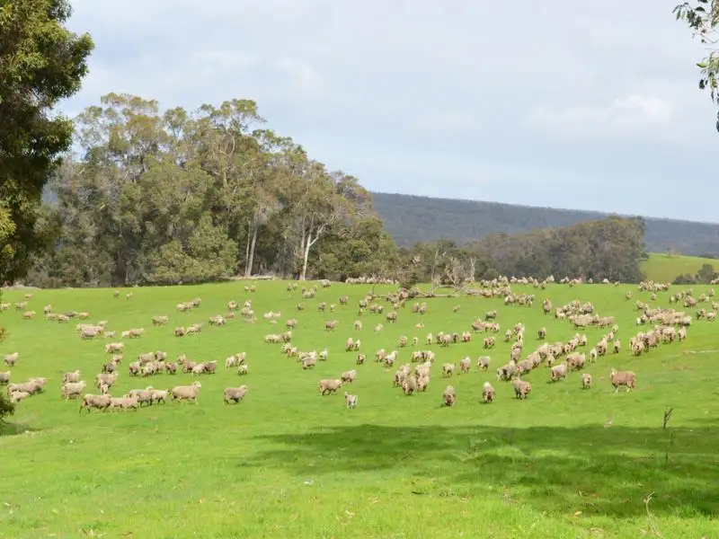 Main view of Homely rural property listing, 3543 Donnybrook-Boyup Brook Road, Noggerup WA 6225