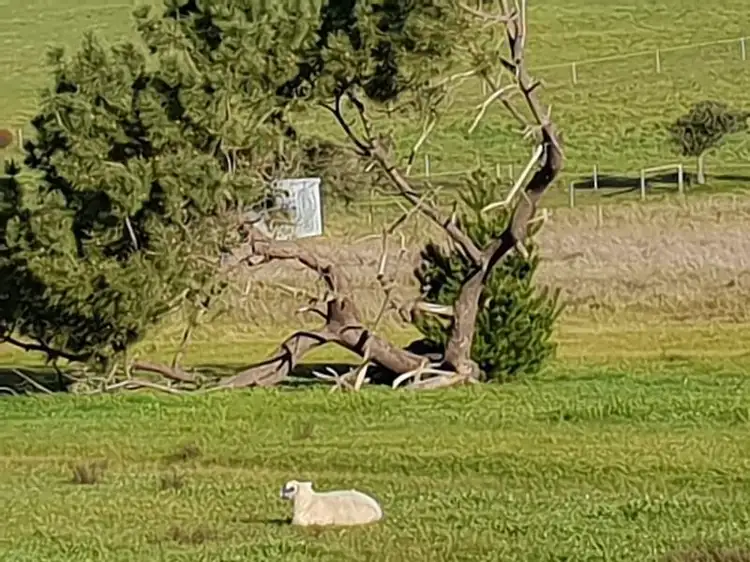 Second view of Homely land listing, 45 Ellendale Drive, Lower Chittering WA 6084