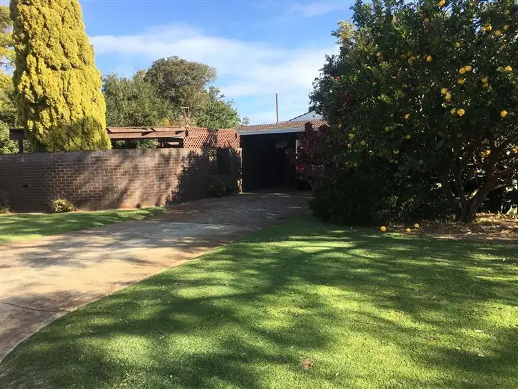 16 Birch  Street, Attadale WA 6156