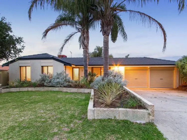 Main view of Homely house listing, 5 Elfa Court, Alexander Heights WA 6064