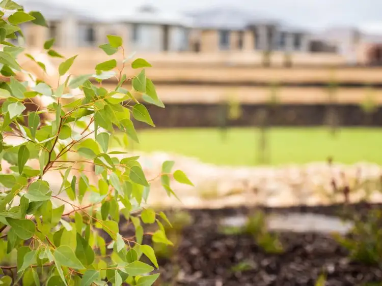 Third view of Homely land listing, Lot 536, 35 Delphinium Way, Beeliar WA 6164