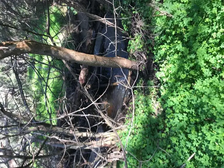 Fifth view of Homely house listing, 9 Chittering Valley Road, Lower Chittering WA 6084