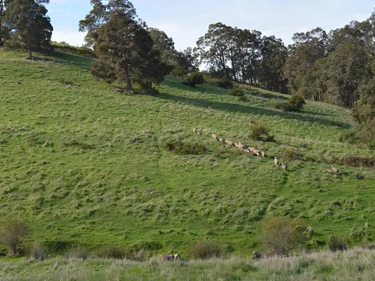 Seventh view of Homely rural property listing, Lot 71 Valentine Road, Upper Capel WA 6239