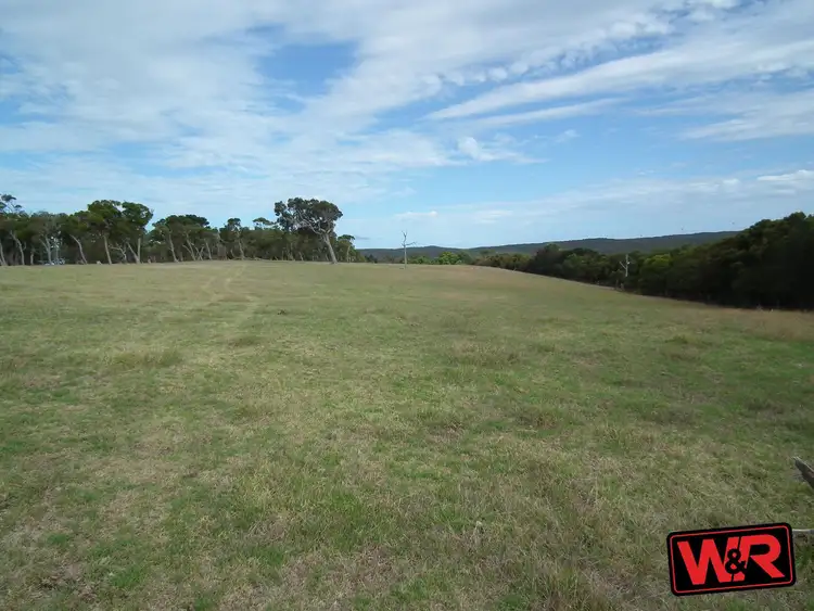 Fourth view of Homely rural property listing, Lot 53 Old School Road, Elleker WA 6330