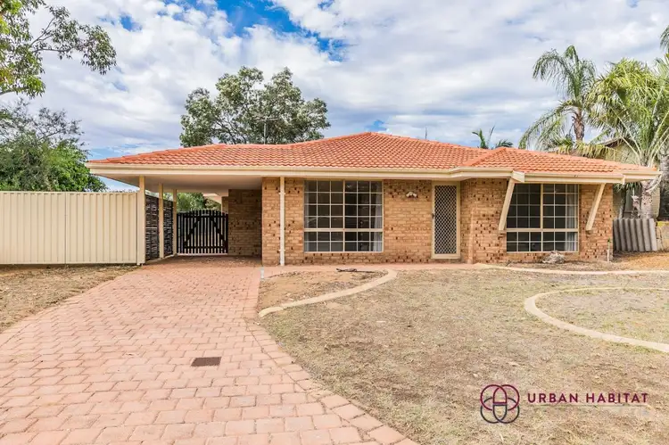 Main view of Homely house listing, 3 Creen Court, Leda WA 6170
